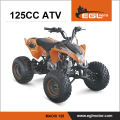 125er atv Quad mit Rückwärtsgang